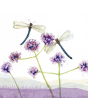 Alex Clark Art Coaster - Dragonflies