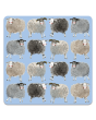 Alex Clark Coaster - Sheep