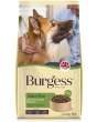 BURGESS Sensitive Lamb dog food 12.5kg Bag 