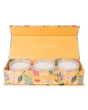 Candlelight Candles Floral Birthday 3 Pack