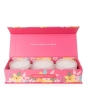 Candlelight Candle Floral Celebrations 3 Pack 