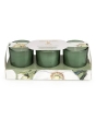 Candlelight Votive Candles White Poppy + Sage 3 Set 