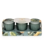 Candlelight Votive Candles Pear Tree + Bay Leaf 3 Set