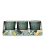 Candlelight Votive Candles Pear Tree + Bay Leaf 3 Set