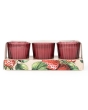 Candlelight Votive Candles Wild Strawberry + Rhubarb 3 Set
