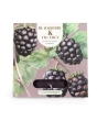 Candlelight Tealights Blackberry Fig Tree 9 Pack