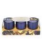 Candlelight Votive Candle Iris + Tonka Bean 3 Set