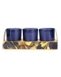 Candlelight Votive Candle Iris + Tonka Bean 3 Set