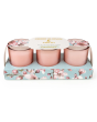 Set of 3 Votive Candles - Cherry Blossom & Sakura