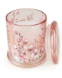 Large Glass Jar - Cherry Blossom & Sakura