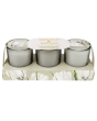 Set of 3 Votive Candles - White Tulip & Bergamot
