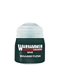Warhammer Colour Base Waaagh Flesh