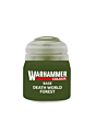 Warhammer Colour Base Deathworld Forest