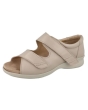 DB Shoes Bliss 2 - Taupe Leather