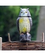 Wind Action Owl