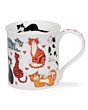 Dunoon Bute - Lovable Cats