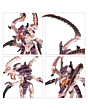 Games Workshop Warhammer 40000-Tyranids-Von Ryan's Leapers 51-37