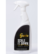 Genie Clean - Scale It Down