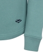 Hoggs Dumfries 1888 Ladies 1/4 Zip Sweatshirt - Mineral Blue/Pink 