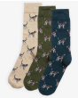 Barbour Pointer Dog Socks Gift Box - Forest Mist 