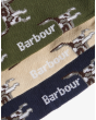 Barbour Pointer Dog Socks Gift Box - Forest Mist 