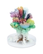 Galt Horrible Science Creepy Crystals