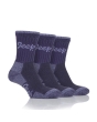 Ladies Luxury Socks Navy/Rose