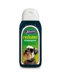Johnsons Medicated Shampoo