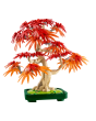 LEGO Botanicals Japanese Red Maple Bonsai Tree