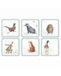 Wrendale Coaster Set