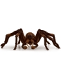 Schleich Aragog 13987