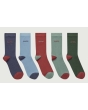 Schoffel Ladies Bamboo Socks Box of 5 - Pink Mix 