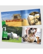 Tractor Ted A Summer's Day Book 