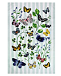 Ulster Weavers Teatowel Cotton - Butterfly Grove