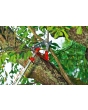 Wolf Garten Multi-Change® Adjustable Anvil Tree Lopper