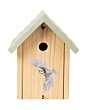 Wrendale Bird House - Bluetit
