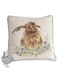 'Bright Eyes' Cushion 