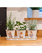 Wrendale Animal Herb Pots