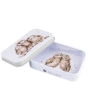 Wrendale Keepsake Tin 'Owlets'