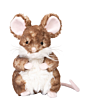 Wrendale Mouse Oliver - Junior