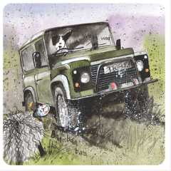 Alex Clark Coaster - Off Roading