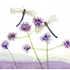 Alex Clark Art Coaster - Dragonflies