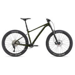 Giant Fathom 2  - Phantom Green 2022 - Large 
