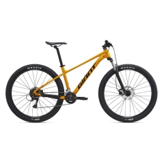 Giant Talon 3 Beeswax 2025 - Medium 29"