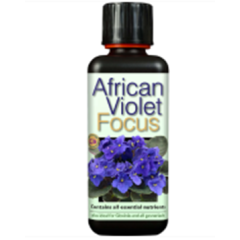 Growth Technology African Violet Focus