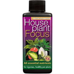 Growth Technology Houseplant Focus 300ml