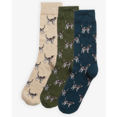 Barbour Pointer Dog Socks Gift Box - Forest Mist 