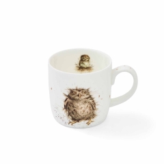Wrendale 'What a Hoot' Mug 