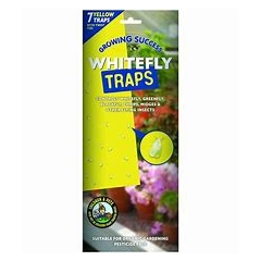 Greenhouse Whitefly Traps
