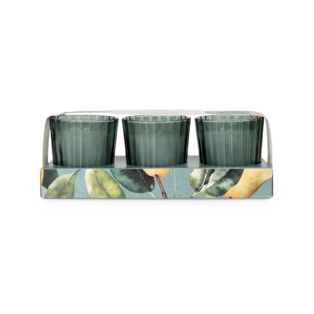 Candlelight Votive Candles Pear Tree + Bay Leaf 3 Set